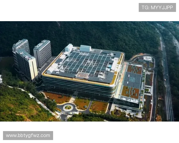 PA视讯集团在推动高清视讯技术普及方面的关键作用与未来发展潜力